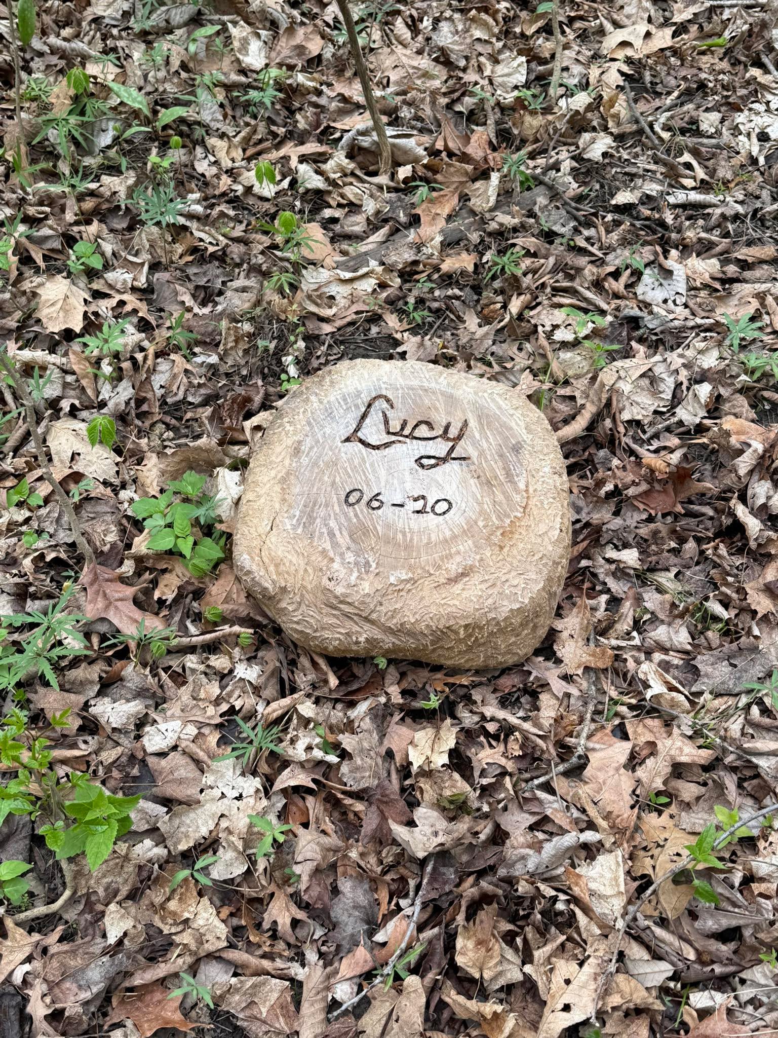 After 5 years, thanks to an amazing hubby, finally completed this for Miss Lucy! 

She was the best dog ever and the hubby definitely agreed! Wished our animal lover could have met her. They would have been the best of friends! 

Michael T. Westfall